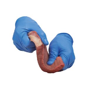 Gloves, Extended Use, Grippaz 308, Blue