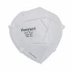 DUST MASK, HONEYWELL, H910 PLUS FLAT-FOLDED, H1009101 N95